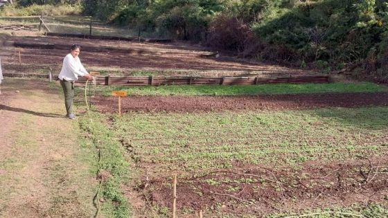 Promueven la implementación de huertas en establecimientos educativos