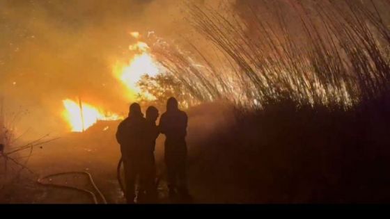 Destacan el compromiso de los equipos que trabajan en el combate de incendios forestales en Salta