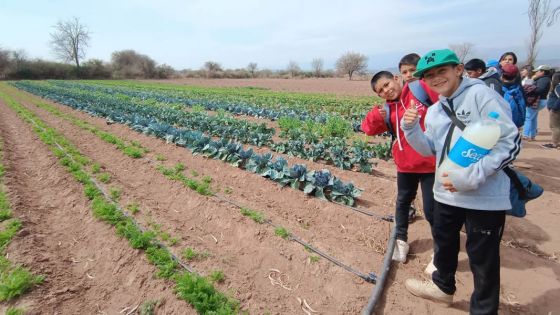 Fomentan la producción de hortalizas en el departamento de La Viña