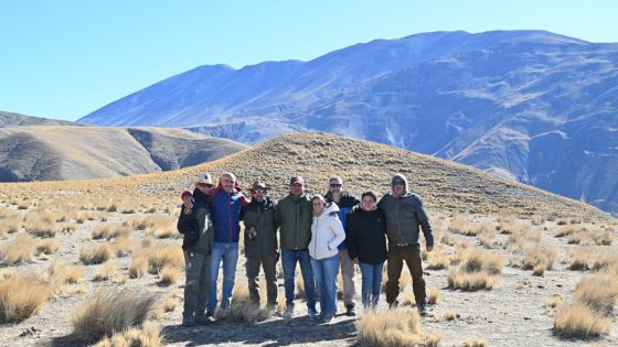 Liberaron un cóndor andino en Piedra del Molino, Cachi