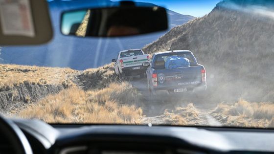 Liberaron un cóndor andino en Piedra del Molino, Cachi