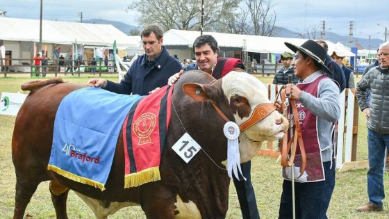 80° Expo Rural Salta: “El Gobierno acompaña con políticas concretas y estratégicas al sector”