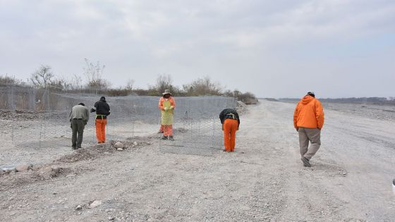 Trabajos