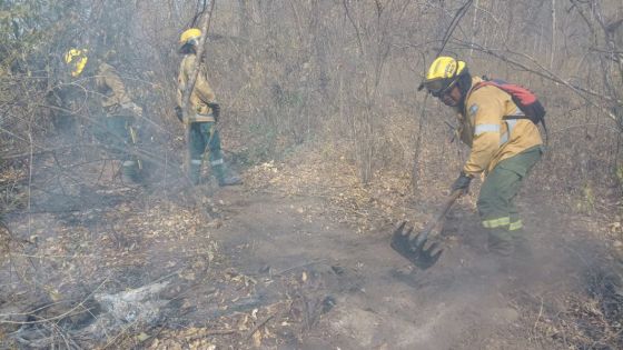 Intenso operativo para extinguir incendios forestales en el norte provincial