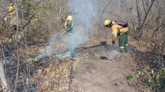 Intenso operativo para extinguir incendios forestales en el norte provincial