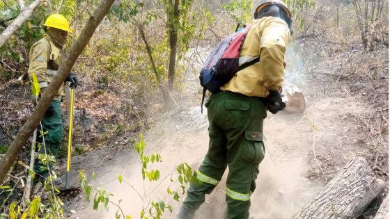 Intenso operativo para extinguir incendios forestales en el norte provincial