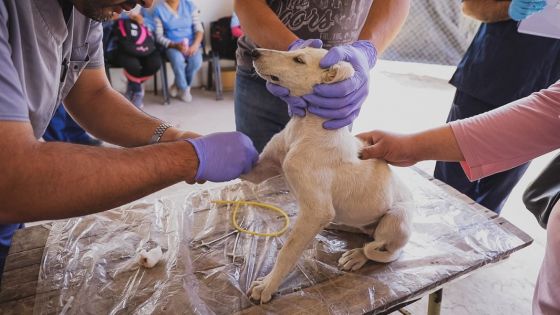 Se hicieron más de 1350 prácticas sanitarias en una comunidad Ava Guaraní de Pichanal