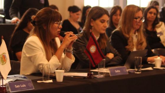 Salta presentó acciones y agenda de trabajo en la Reunión Plenaria del Consejo Federal de Derechos Humanos