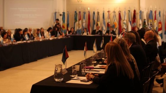 Salta presentó acciones y agenda de trabajo en la Reunión Plenaria del Consejo Federal de Derechos Humanos