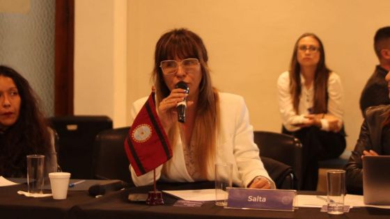 Salta presentó acciones y agenda de trabajo en la Reunión Plenaria del Consejo Federal de Derechos Humanos