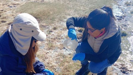 Monitoreo ambiental participativo en el proyecto de litio Centenario Ratones