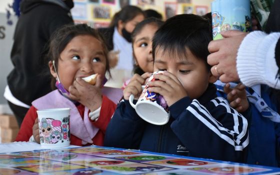 En la primera etapa del programa Copa de Leche, más de 110 mil alumnos salteños recibieron el beneficio