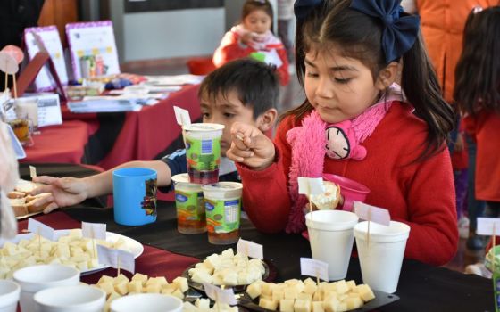 En la primera etapa del programa Copa de Leche, más de 110 mil alumnos salteños recibieron el beneficio