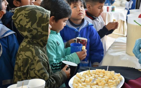 En la primera etapa del programa Copa de Leche, más de 110 mil alumnos salteños recibieron el beneficio