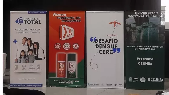 Se puso en marcha la campaña preventiva Desafío Dengue Cero