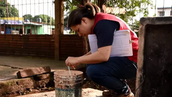 Continúa la detección de criaderos de Aedes aegypti en la zona sur de la capital