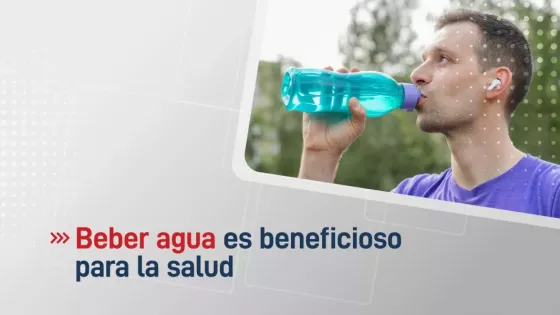 Beber suficiente agua todos los días ayuda al buen funcionamiento del organismo