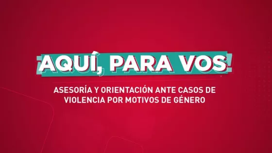 Programa Aquí para Vos: se brindará asistencia en Limache, San Benito y Castañares