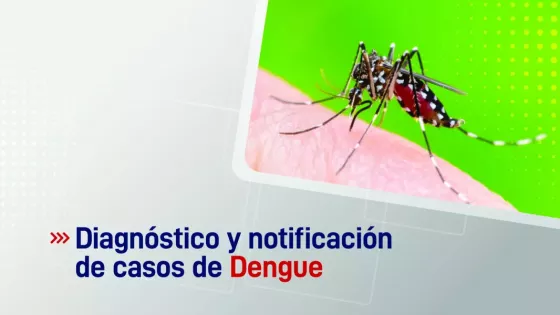 Salud recuerda la importancia de la notificación y diagnóstico por laboratorio de casos sospechosos de dengue