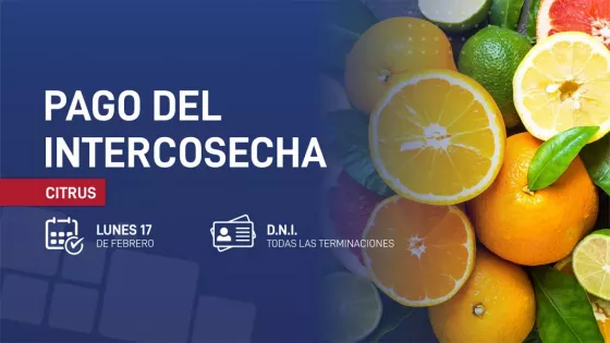 Comenzó el pago del programa Intercosecha