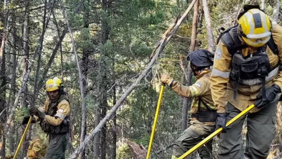 Continúa la cooperación de Salta en el combate de incendios forestales en Río Negro