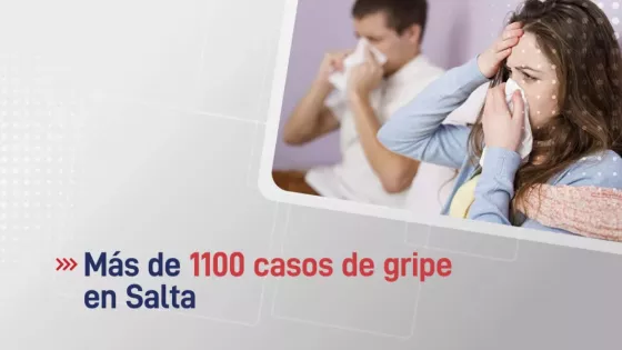 Se confirmaron más de 1100 casos de gripe en la provincia