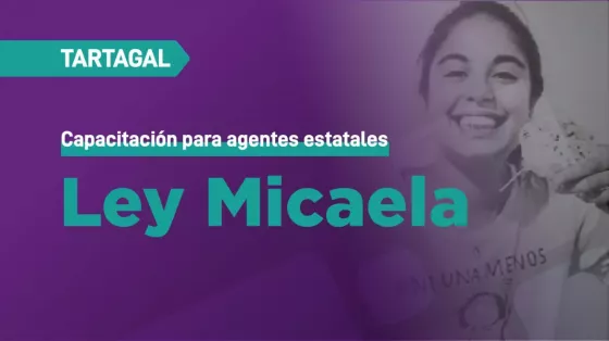 Agentes estatales de Tartagal se capacitan en Ley Micaela