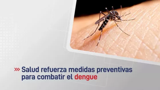 Salud refuerza medidas preventivas para combatir el dengue