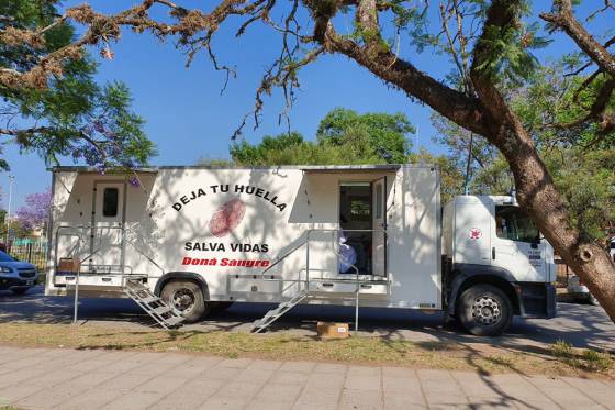 Colecta de sangre en Metán