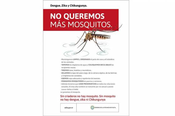 En Salta no hay casos confirmados de enfermedades transmitidas por mosquitos