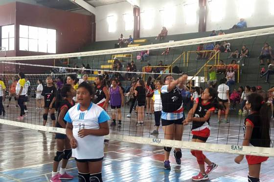 Fiesta del minivoley en el microestadio Delmi