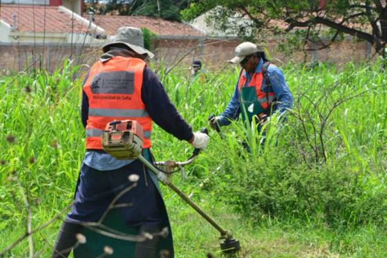 Iniciaron los trabajos de desmalezado en escuelas de la capital salteña