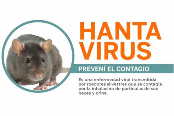 Salud Pública recuerda medidas para prevenir infección por hantavirus