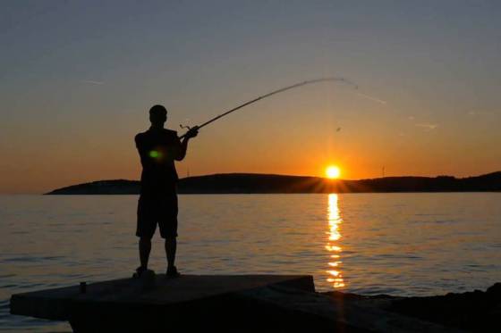 Aficionados a la pesca deportiva podrán enviar sugerencias para el reglamento 2020-2021