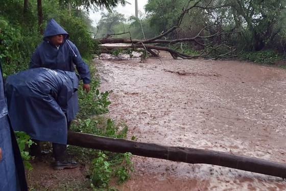 Seguridad asistió a los damnificados tras el temporal en Coronel Moldes