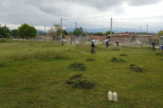 Continúan las tareas de desmalezado en escuelas de Capital y San Lorenzo