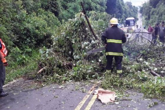 Seguridad realizó diversos operativos de asistencia por el temporal