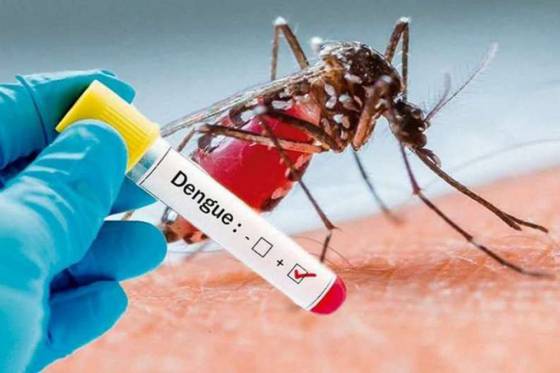 Recomiendan mantener las medidas de prevención de dengue