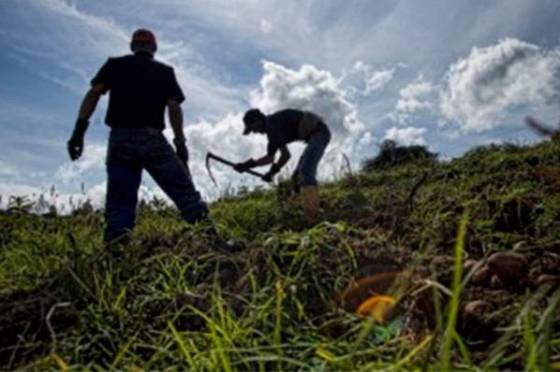 El Gobierno garantiza la continuidad de la cadena productiva y abastecimiento de alimentos