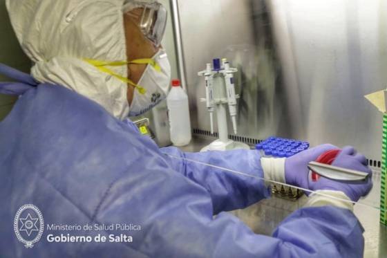 Salta se mantiene sin nuevos casos positivos de coronavirus