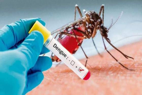 La cantidad de casos de dengue es inferior a la del año pasado