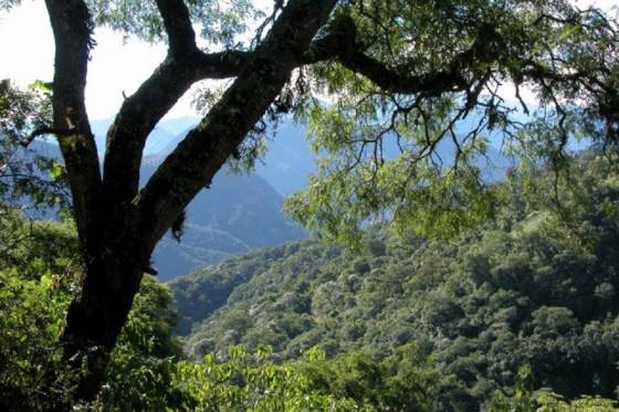 Construirán dos pozos de agua en el marco del Proyecto “Bosques Nativos y Comunidad”