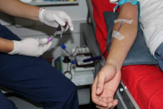 Instan a la población sana a donar sangre de todo grupo y factor