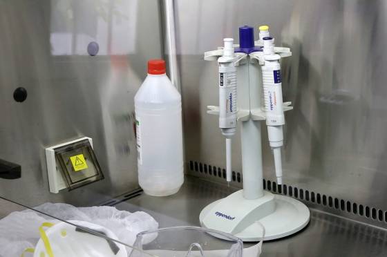 Coronavirus: 166 personas activaron protocolos y se esperan resultados de 6 casos sospechosos