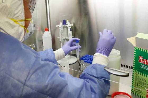 Coronavirus: son 245 los estudios efectuados en la provincia y no se registran nuevos casos positivos