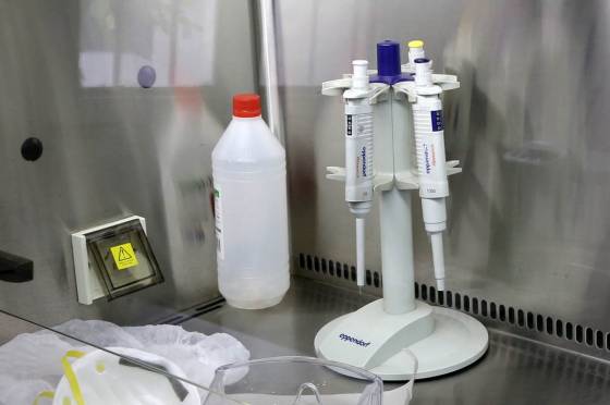 Coronavirus: no se registran nuevos casos positivos en Salta