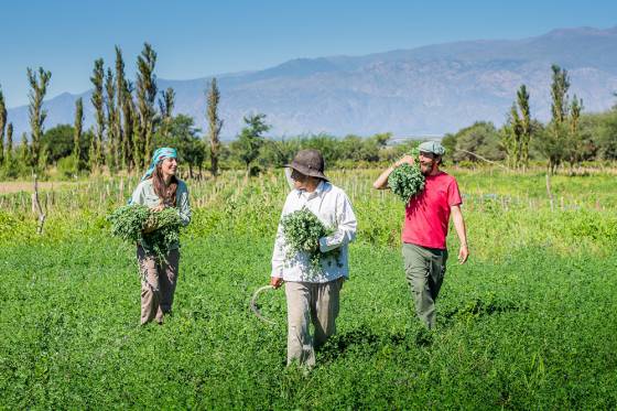 El turismo que viene: Salta invita a una experiencia inolvidable con comunidades rurales