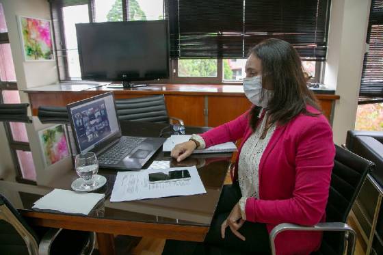 La ministra Medrano participó en el Consejo Federal de Salud