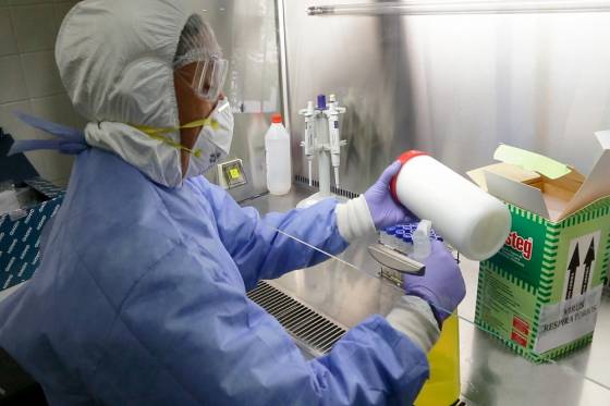 Coronavirus: a la fecha se realizaron 747 estudios desde el inicio de la pandemia