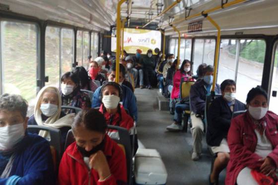 Grupos habilitados para el acceso a colectivos